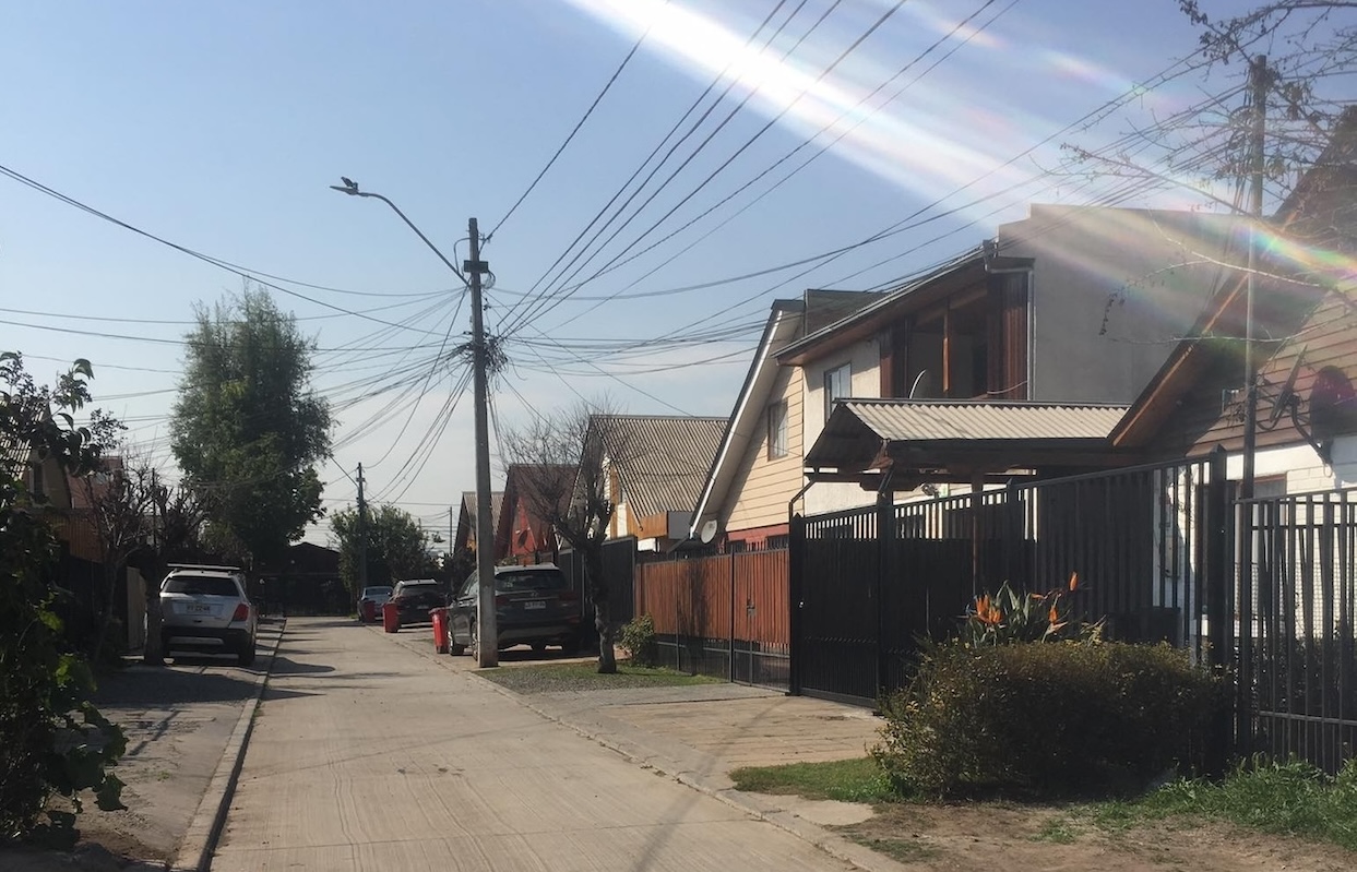 Proyecto de ley extiende la “Ley del Mono” hasta 2030 e incorpora procedimiento de subsanación